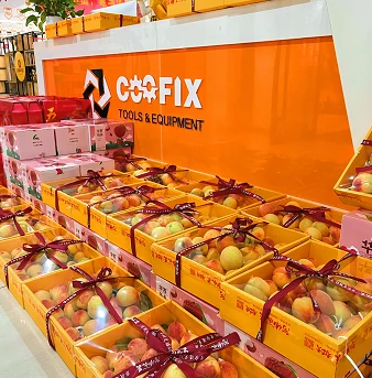 COOFIX DRAGON BOAT FESTIVAL